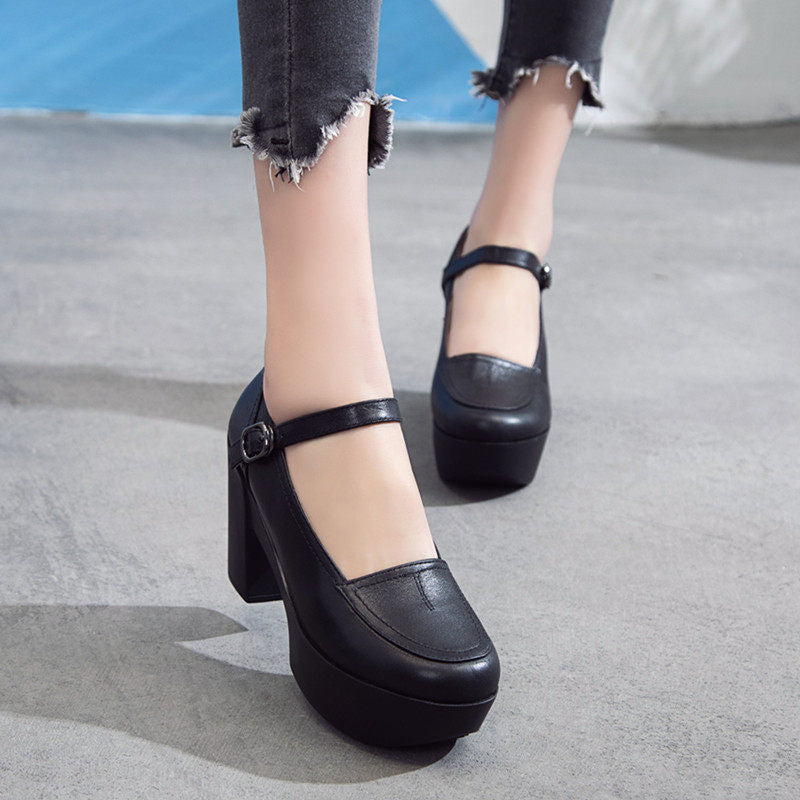 Women's Retro Spring Mary Jane Wedge Platform High Chunky Soft Bottom Women's Fashion Shoes