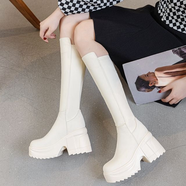 Women's Increasing Stretch Thin High Tube Over Boots