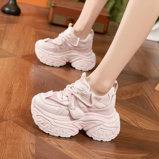 Women's Height Increasing Insole Dad Summer Platform Hollow Mesh Surface Brushed Women's Shoes