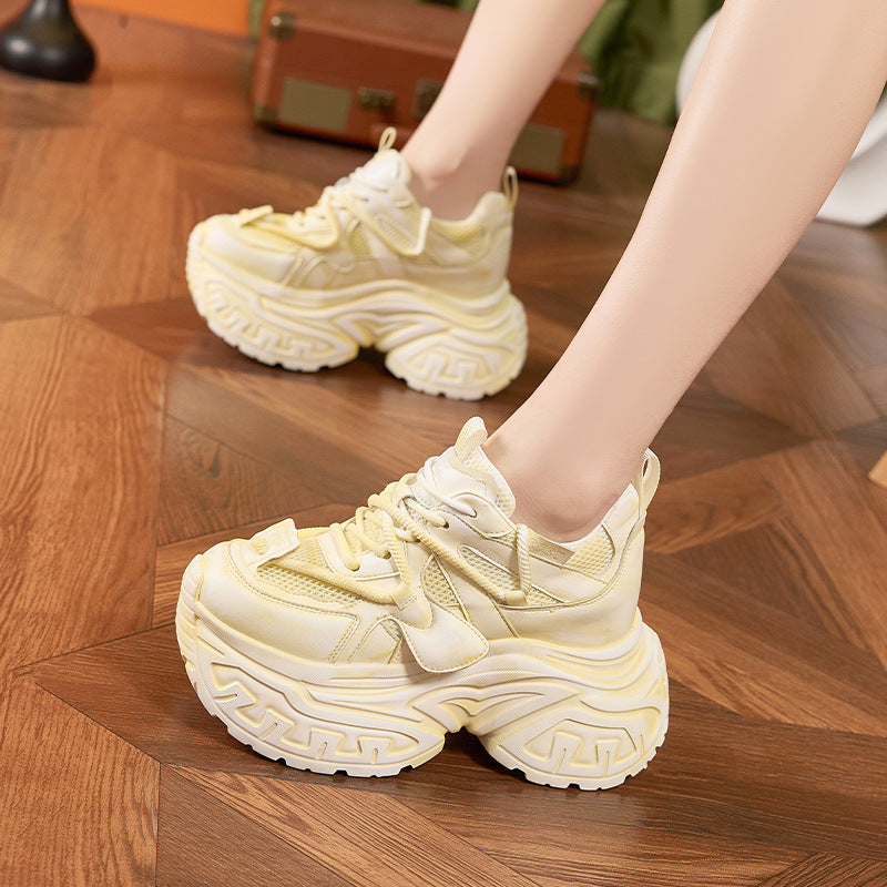 Women's Height Increasing Insole Dad Summer Platform Hollow Mesh Surface Brushed Women's Shoes