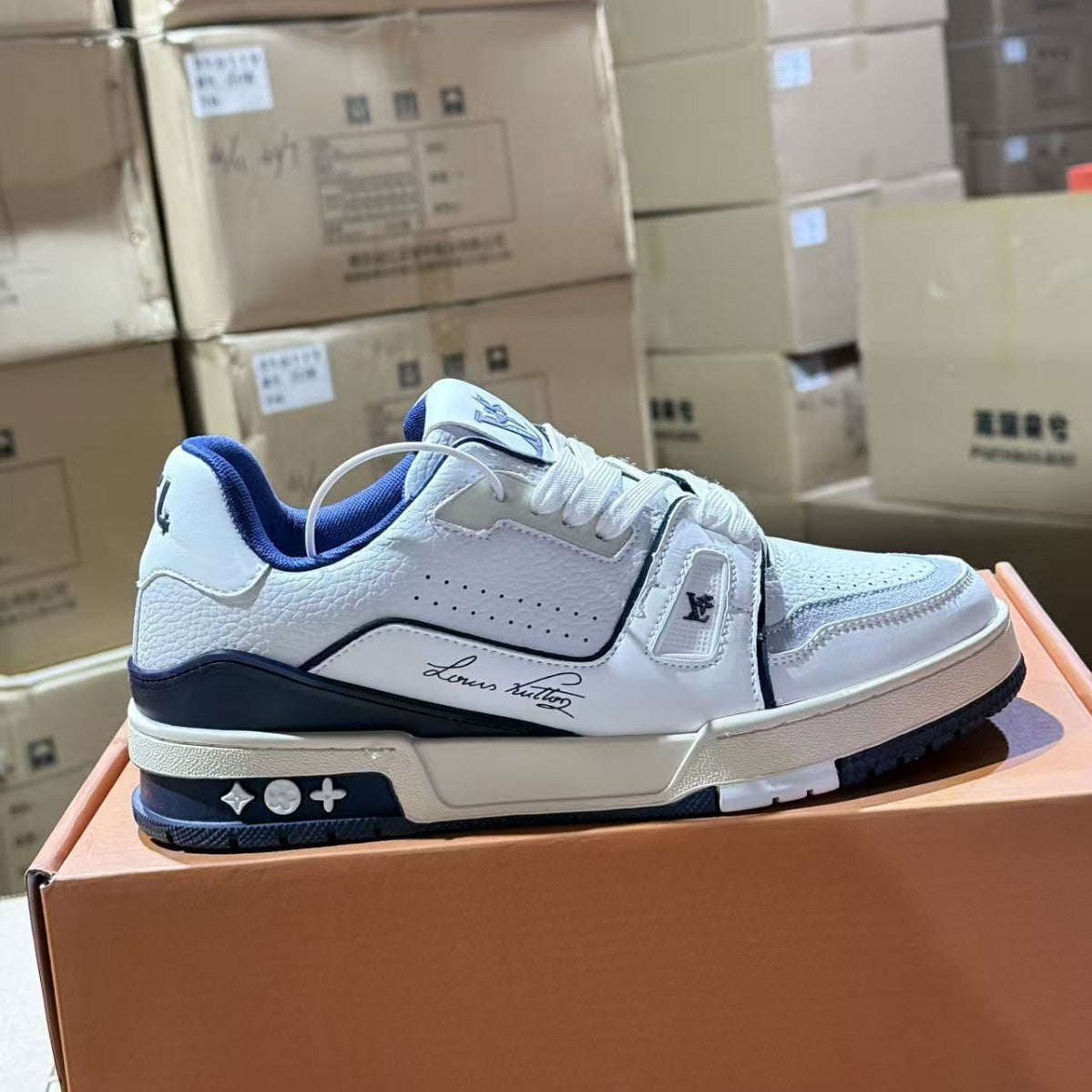 Women's & Men's Embroidered Printed Couple Fashion Trends Board Men's Sports Shoes