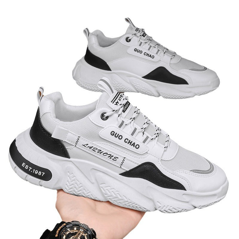 Men's Summer Mesh Breathable Sports Platform Height Casual Shoes