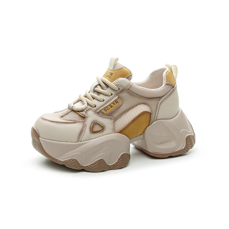 Women's Special Color Matching Transparent Net Fashion Casual Shoes